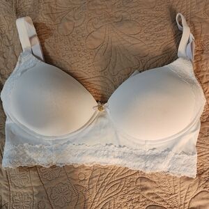 Daisy Fuentes 40D Bra